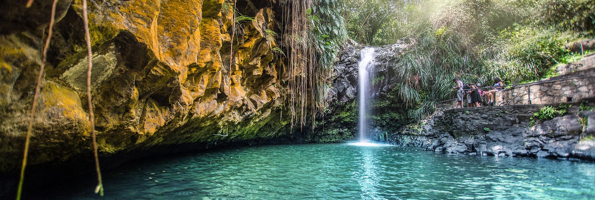 Lush green rainforest hiking trail in Grand Etang National Park, Grenada