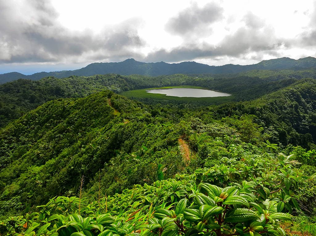 Grand Etang National Park in Grenada with lush green rainforest