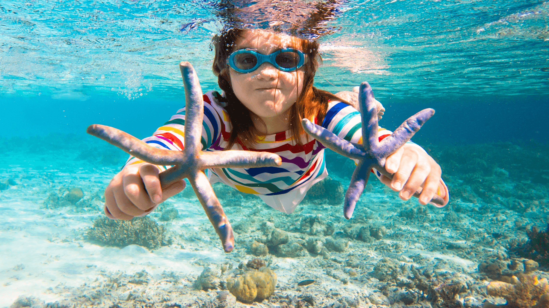 Child snorkeling with starfish in clear Caribbean waters in Grenada